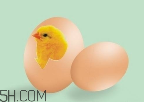 2018年雞蛋價(jià)格會(huì)漲嗎 2018年雞蛋價(jià)格預(yù)測(cè) 2018年雞蛋價(jià)格會(huì)漲嗎 2018年雞蛋價(jià)格預(yù)測(cè)