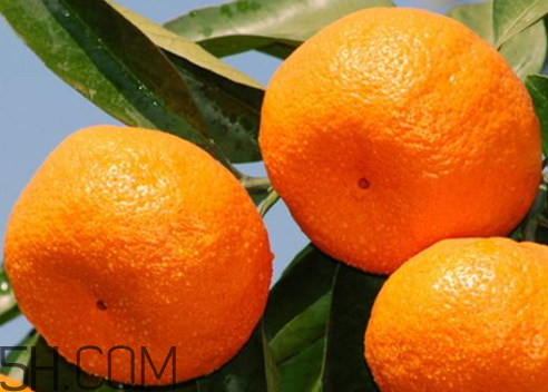 南豐蜜桔什么時候成熟 南豐蜜桔什么時候上市 南豐蜜桔什么時候成熟 南豐蜜桔什么時候上市
