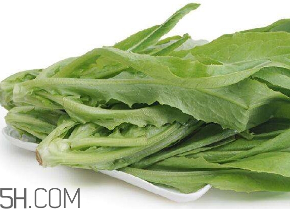 油麥菜可以隔夜嗎？油麥菜可以涮火鍋嗎