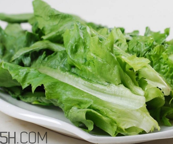西紅柿和油麥菜能一起吃嗎？油麥菜能包餃子嗎