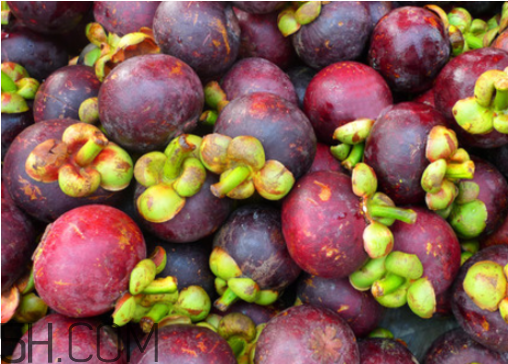 山竹苦的能吃嗎？山竹和芒果可以一起吃嗎？