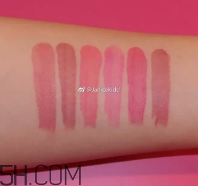 dior迪奧魅惑染唇蜜451試色 迪奧魅惑染唇蜜451適合黃皮嗎 dior迪奧魅惑染唇蜜451試色 迪奧魅惑染唇蜜451適合黃皮嗎