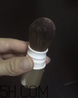 資生堂心機(jī)彩妝臻采腮紅怎么樣_好用嗎 資生堂心機(jī)彩妝臻采腮紅怎么樣_好用嗎