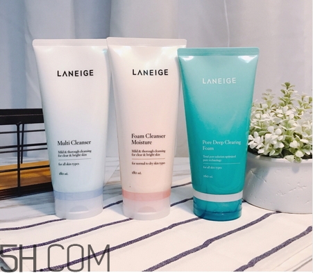 蘭芝洗面奶怎么樣_蘭芝洗面奶好用嗎 蘭芝洗面奶怎么樣_蘭芝洗面奶好用嗎