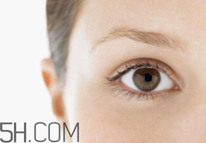 怡麗絲爾新款抗皺眼霜怎么樣_使用方法 怡麗絲爾新款抗皺眼霜怎么樣_使用方法