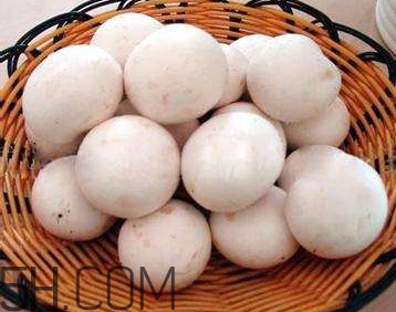 口蘑的口字是怎么來的？口蘑怎么清洗