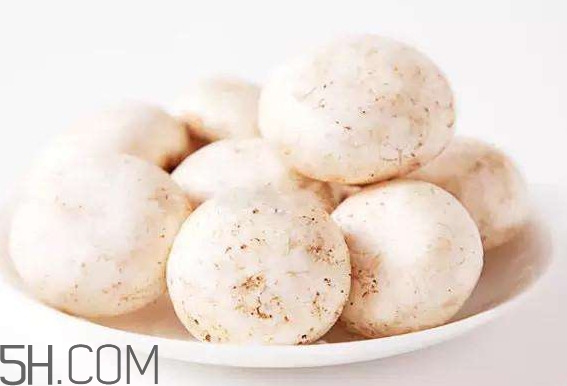 口蘑怎么挑選？口蘑有毒嗎