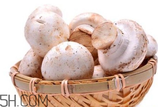 口蘑的口字是怎么來的？口蘑怎么清洗