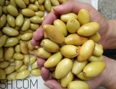 子彈頭棗怎么保存 子彈頭棗能放冰箱嗎 子彈頭棗怎么保存 子彈頭棗能放冰箱嗎