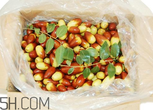 子彈頭棗怎么保存 子彈頭棗能放冰箱嗎 子彈頭棗怎么保存 子彈頭棗能放冰箱嗎