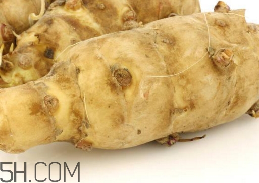 菊芋是什么？菊芋可以當姜使用嗎？