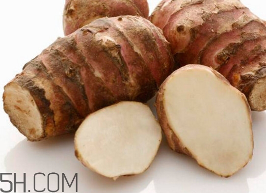 菊芋是什么？菊芋可以當姜使用嗎？