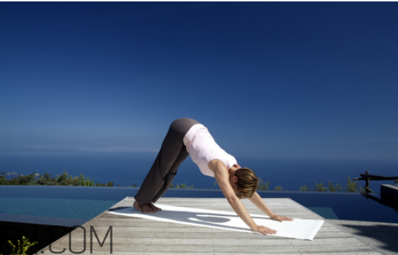 自學(xué)瑜伽從哪些體式入手？瑜伽能減肥嗎？