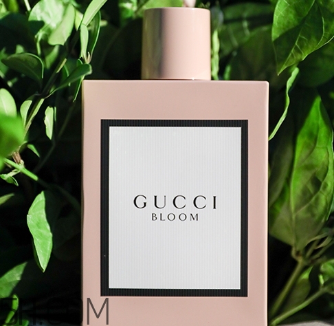 gucci bloom香水多少錢(qián)？gucci bloom香水專(zhuān)柜價(jià)格