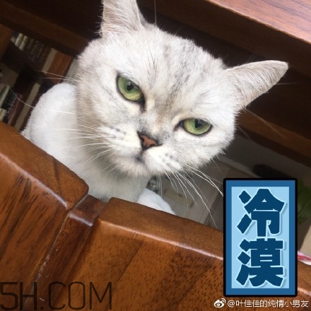 你個臭居居什么意思？你個臭居居表情包