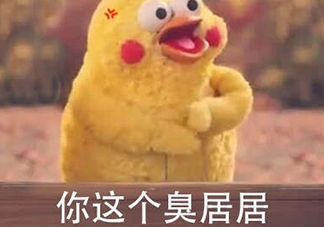 你個臭居居什么意思？你個臭居居表情包