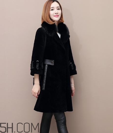 水貂和貂哪個好？貂皮和水貂有什么區(qū)別？