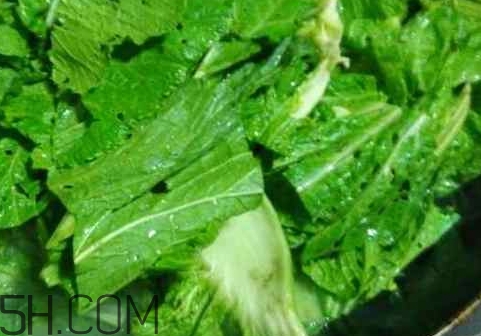 芥菜葉子的營養(yǎng)價值_芥菜葉子的功效與作用 芥菜葉子的營養(yǎng)價值_芥菜葉子的功效與作用