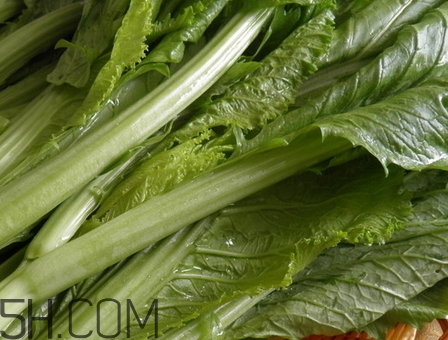 芥菜葉子的營養(yǎng)價值_芥菜葉子的功效與作用 芥菜葉子的營養(yǎng)價值_芥菜葉子的功效與作用