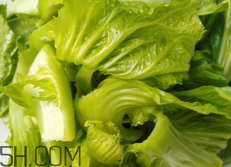 芥菜葉子的營養(yǎng)價值_芥菜葉子的功效與作用 芥菜葉子的營養(yǎng)價值_芥菜葉子的功效與作用