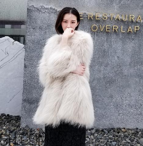 貉子毛是什么毛？貉子毛貴嗎？