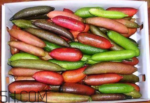 指橙中國(guó)哪里有 指橙種植條件 指橙中國(guó)哪里有 指橙種植條件