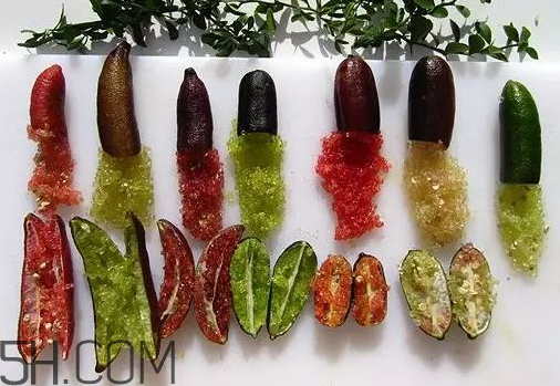 指橙中國(guó)哪里有 指橙種植條件 指橙中國(guó)哪里有 指橙種植條件