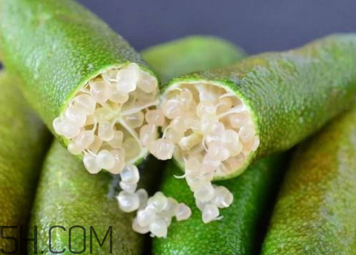 指橙中國(guó)哪里有 指橙種植條件 指橙中國(guó)哪里有 指橙種植條件