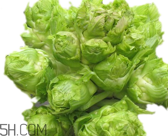 青菜頭是不是兒菜？大頭菜和兒菜的區(qū)別