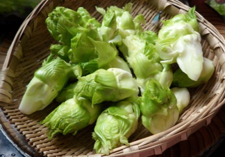 兒菜為什么叫兒菜？兒菜什么季節(jié)吃的