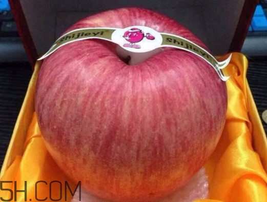 世界一號蘋果多少錢？世界一號蘋果好吃嗎