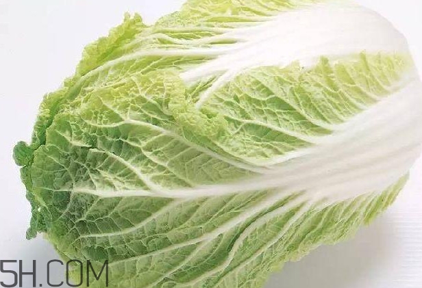 大白菜什么時(shí)候種最合適？大白菜怎么做好吃