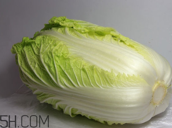 大白菜是涼性還是熱性？大白菜是什么季節(jié)的