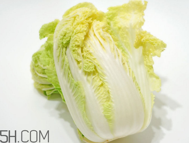 大白菜起源是哪里？大白菜產(chǎn)地分布有哪些