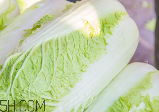 大白菜可以生吃嗎？大白菜可以隔夜吃嗎