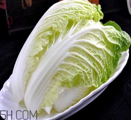 大白菜起源是哪里？大白菜產(chǎn)地分布有哪些