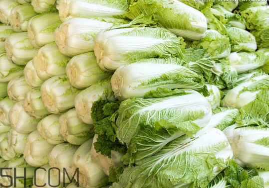 冬儲大白菜怎么才不會壞？冬儲大白菜什么時候上市
