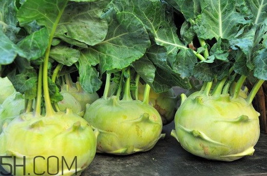 大頭菜營養(yǎng)價(jià)值有哪些？大頭菜什么時(shí)候種植