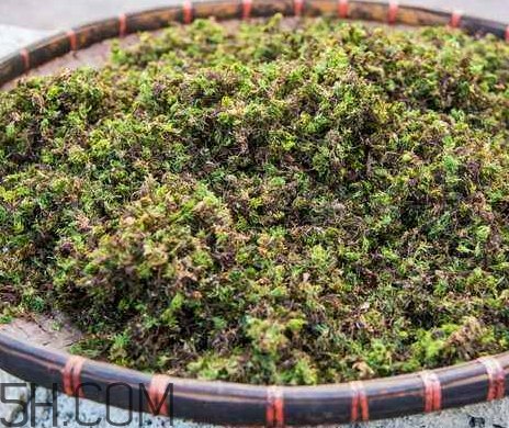 回春草生長在什么地方 回春草可以種植嗎 回春草生長在什么地方 回春草可以種植嗎