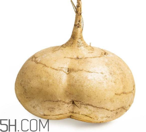 ?白地瓜可以煮湯嗎 白地瓜可以燉排骨嗎 ?白地瓜可以煮湯嗎 白地瓜可以燉排骨嗎