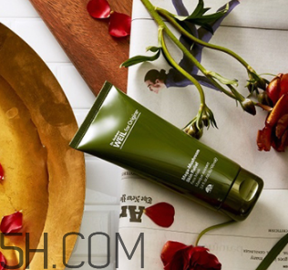 悅木之源韋博士靈芝煥能精華面膜 悅木之源韋博士靈芝煥能精華面膜