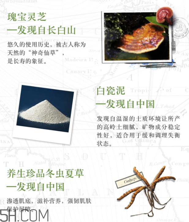 悅木之源韋博士靈芝煥能精華面膜 悅木之源韋博士靈芝煥能精華面膜