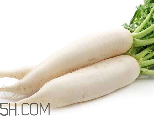 白蘿卜什么時候收獲 白蘿卜什么季節(jié)成熟 白蘿卜什么時候收獲 白蘿卜什么季節(jié)成熟