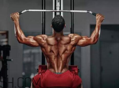 高位下拉能代替引體向上嗎？高位下拉和引體向上的區(qū)別