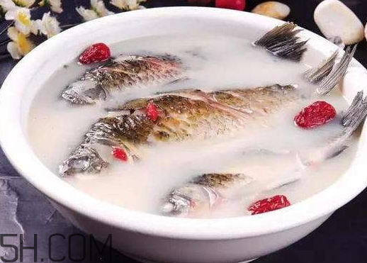 鯽魚湯是涼性的嗎 鯽魚湯是熱性還是涼性 鯽魚湯是涼性的嗎 鯽魚湯是熱性還是涼性