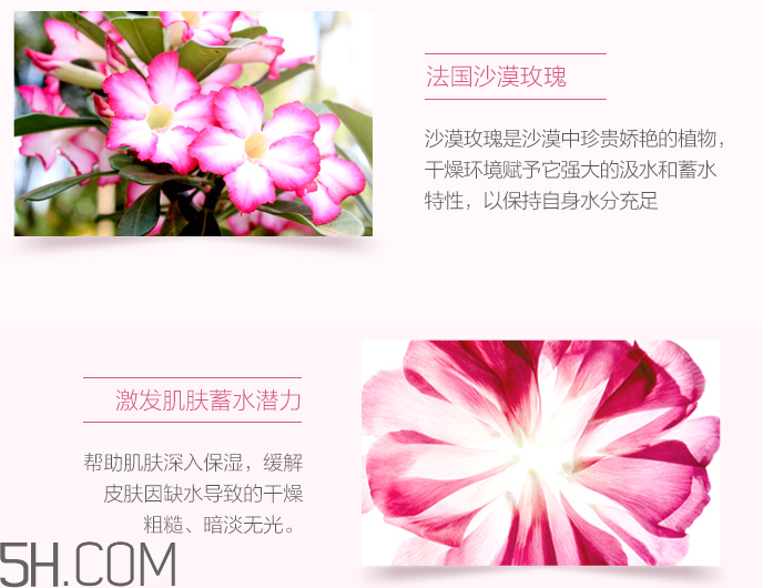 御泥坊玫瑰滋養(yǎng)礦物潤膚水 御泥坊玫瑰滋養(yǎng)礦物潤膚水