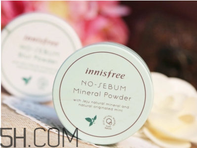 悅詩風吟散粉和粉餅哪個好用？粉餅和散粉的區(qū)別