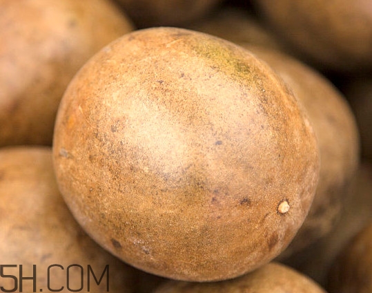 羅漢果一天最多喝幾次？羅漢果和什么相克