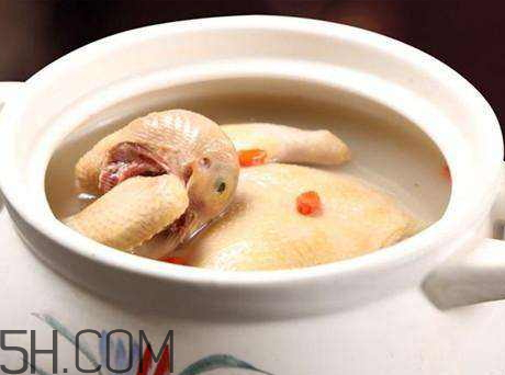 鴿子湯用熱水還是冷水 鴿子湯冷水下還是熱水 鴿子湯用熱水還是冷水 鴿子湯冷水下還是熱水
