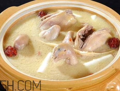 鴿子湯用熱水還是冷水 鴿子湯冷水下還是熱水 鴿子湯用熱水還是冷水 鴿子湯冷水下還是熱水